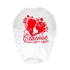 Фонарик желаний «Счастье - быть рядом с тобой», купол, МИКС - Фото 5