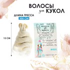 Волосы - тресс для кукол «Кудри» длина волос: 15 см, ширина: 100 см, №LSA005 3588513 - фото 8726160