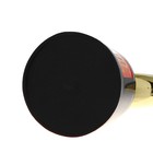 Кубок, наградная фигура «Лучший из лучших», пятёрня, 6.5×10.5×4 см, пластик, золото - Фото 6