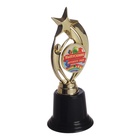 Фигура наградная звезда на выпускной «Выпускник детского сада», высота 18.3 см - Фото 3