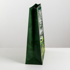 Пакет подарочный ламинированный вертикальный, упаковка, «Броня крепка», S 12 х 15 х 5.5 см - Фото 6