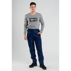 Брюки мужские утепленные СЗ-7002 цвет синий, р-р 60-62 - Фото 1