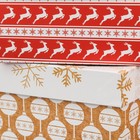Набор коробок 10 в 1 «Зимний», 12 × 7 × 4 ‒ 32.5 × 20 × 12.5 см - Фото 2