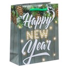 Пакет ламинированный вертикальный Happy New Year, 12 × 15 × 5,5 см - Фото 1