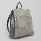 Рюкзак, отдел на молнии, 2 наружных кармана, цвет серый - Фото 1