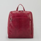 Рюкзак, отдел на молнии, 2 наружных кармана, цвет красный - Фото 2