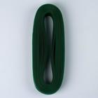 Регилин плоский, 40 мм, 5 ± 1 м, цвет зелёный - Фото 2