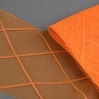 Регилин плоский «Клетка большая», 160 мм, 5 ± 0,5 м, цвет оранжевый - Фото 1