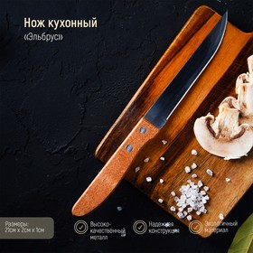 Нож кухонный Доляна «Эльбрус», лезвие 11,5 см 3643159