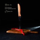 Нож кухонный «Эльбрус», гладкое лезвие 11,5 см - Фото 2
