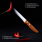 Нож кухонный «Эльбрус», гладкое лезвие 11,5 см - Фото 4