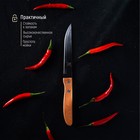 Нож кухонный Доляна «Эльбрус», лезвие 11,5 см - Фото 6