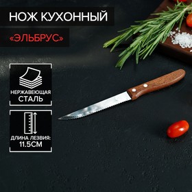 Нож кухонный Доляна «Эльбрус», зубчатое лезвие 11,5 см 3643160