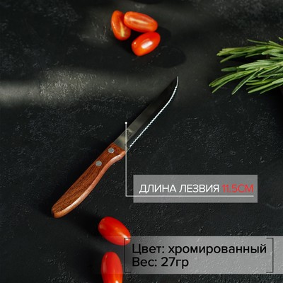 Нож кухонный Доляна «Эльбрус», зубчатое лезвие 11.5 см