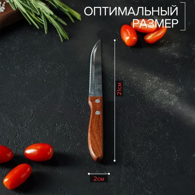Нож кухонный Доляна «Эльбрус», зубчатое лезвие 11.5 см