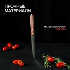 Нож кухонный «Эльбрус», зубчатое лезвие 11,5 см - Фото 4
