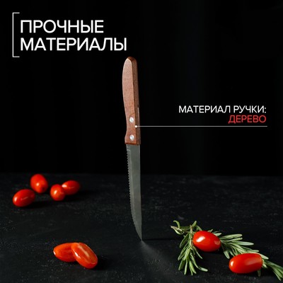 Нож кухонный Доляна «Эльбрус», зубчатое лезвие 11.5 см