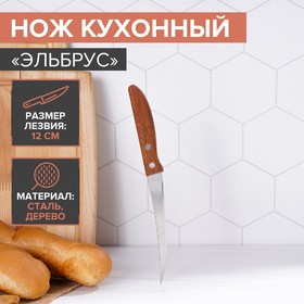 Нож кухонный Доляна «Эльбрус», лезвие 12 см