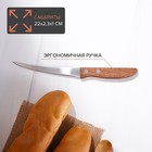 Нож кухонный для цитрусовых Доляна «Эльбрус», лезвие 12 см - фото 4254316