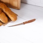 Нож кухонный для цитрусовых Доляна «Эльбрус», лезвие 12 см - фото 4254319