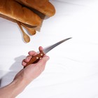 Нож кухонный для цитрусовых Доляна «Эльбрус», лезвие 12 см - фото 4254320
