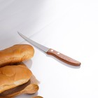 Нож кухонный для цитрусовых Доляна «Эльбрус», лезвие 12 см - фото 4254321
