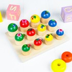 Сортер «Грибочки», размер грибочков: 4 см; 3.5 см; 3 см - Фото 2