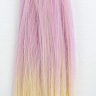 Волосы - тресс для кукол «Прямые» длина волос: 20 см, ширина: 100 см, №LSA042 - Фото 2