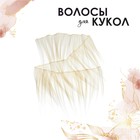 Волосы - тресс для кукол «Прямые» длина волос: 20 см, ширина: 100 см, №LSA005 - Фото 3