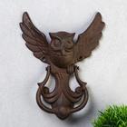 Дверной молоток для входной двери «Летящая сова», чугун, 23.5×18×5 см - Фото 2