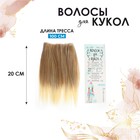 Волосы - тресс для кукол «Прямые» длина волос: 20 см, ширина: 100 см, №LSA051 - фото 8415943