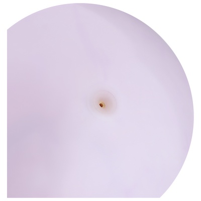 Мяч детский «Динозаврики», d=25 см, МИКС