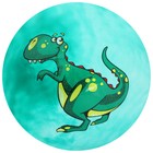 Мяч детский «Динозаврики», d=25 см, 60 г, цвет МИКС - фото 8415984