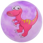 Мяч детский «Динозаврики», d=25 см, 60 г, цвет МИКС - фото 8415997