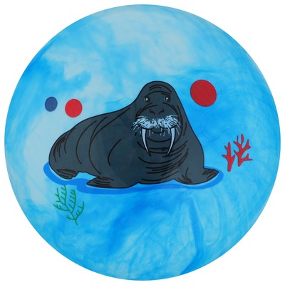 Мяч детский, d=25 см, 60 г, МИКС