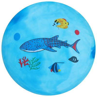 Мяч детский, d=25 см, 60 г, МИКС