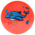Мяч детский «Дельфинчики», d=25 см, 60 г, цвет красный, принт МИКС - Фото 4