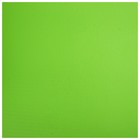 Коврик для йоги Sangh, 183×61×1,5 см, цвет зелёный - Фото 7
