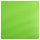 Коврик для йоги Sangh, 183×61×1,5 см, цвет зелёный - Фото 8