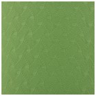 Коврик для йоги Sangh, 183×61×0,6 см, цвет зелёный - фото 9555020