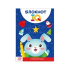 Новогодний блокнот IQ «Головоломки», 28 страниц - Фото 1