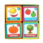 Набор мягких книжек-кубиков из EVA «Окружающий мир», 4 шт. по 12 стр. - Фото 2