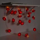 Гирлянда «Нить» 5 м с насадками «Розы красные», IP20, прозрачная нить, 20 LED, свечение теплое белое, 220 В - Фото 3