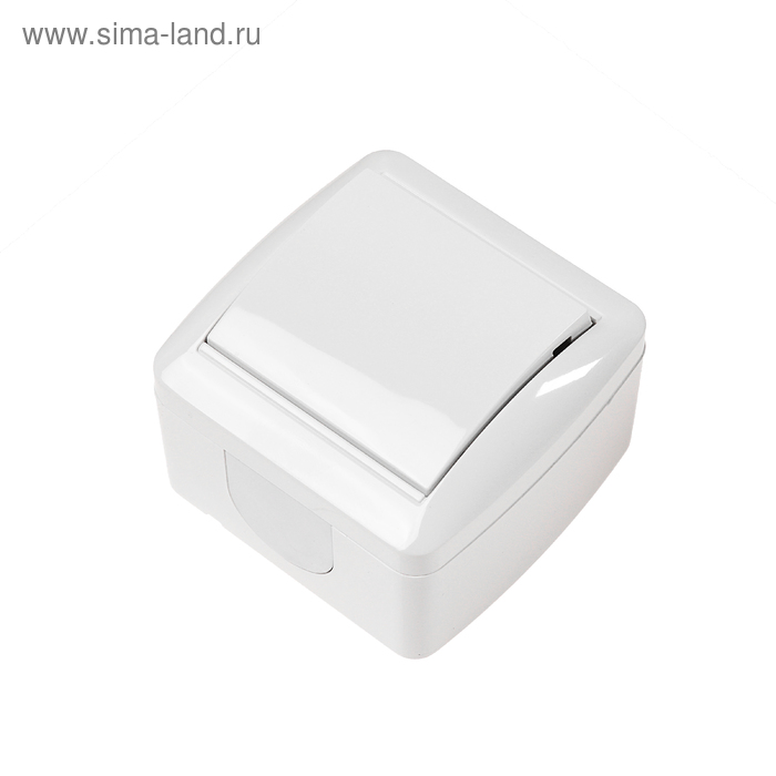 Выключатель TDM "Селигер", 10 А, IP44, 1 клавиша, открытый, белый - Фото 1
