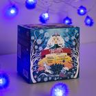 Гирлянда «Нить» 5 м с насадками «Ёжики синие», IP20, прозрачная нить, 30 LED, свечение синее, 8 режимов, 220 В - Фото 4