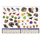 Наклейки «Головоломки. Жители леса», 12 стр. - фото 27166498