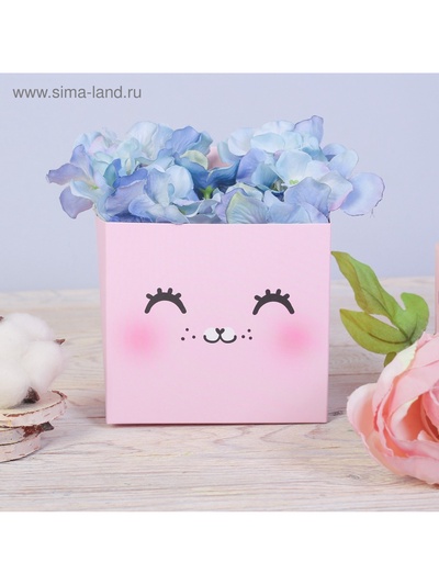 Коробка для мини букетов «Котик», 12×20×10 см