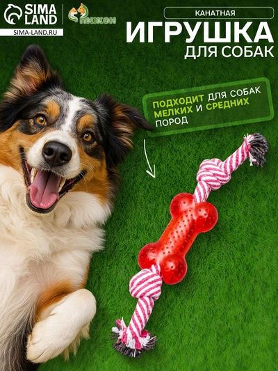 Игрушка канатная, с косточкой, до 90 г, до 26 см, цвет МИКС