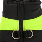 Куртка на синтепоне, размер M (ОГ 43 см, ДС 30 см), черная с зеленым - Фото 8