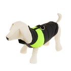 Куртка на синтепоне, размер L (ОГ 50 см, ДС 34,5 см), черная с зеленым - Фото 2